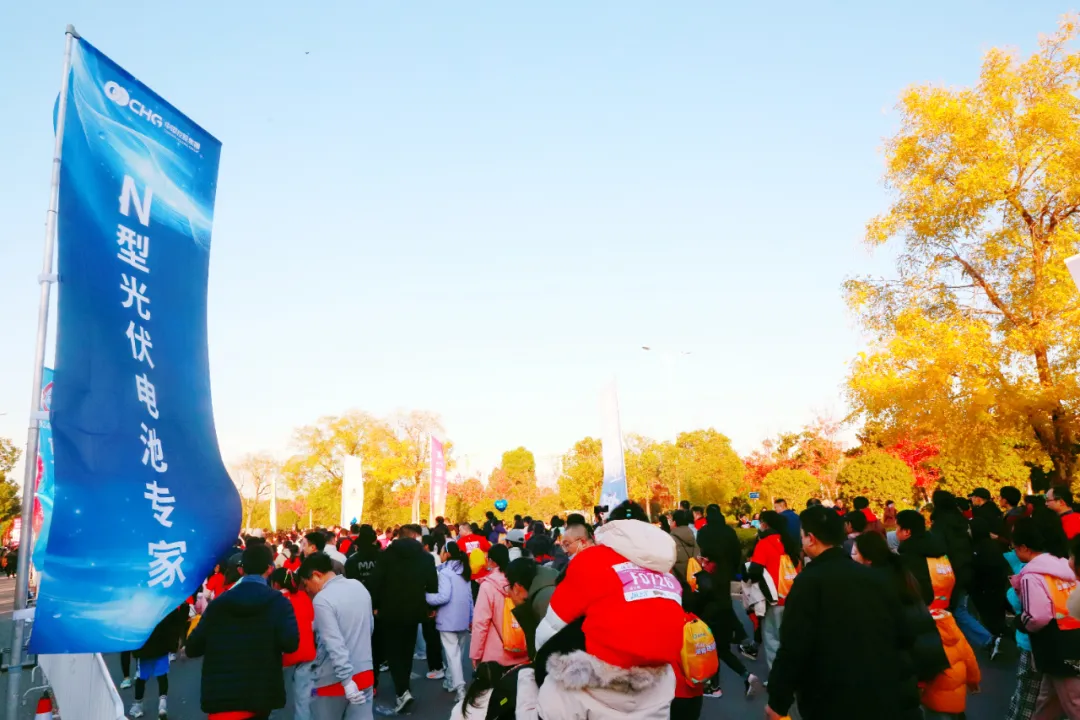 1736831001392841.jpg 3.jpg