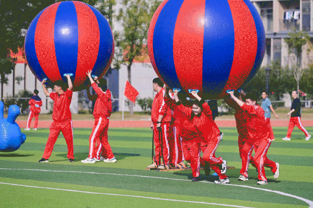 1736832668228279.gif 15.gif