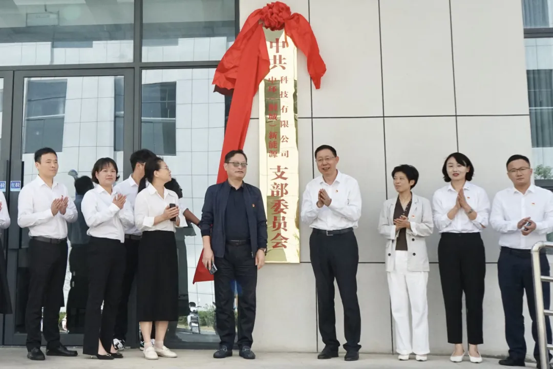 中共万象城平台,万象城(中国)一站式服务平台（桐城）新能源科技有限公司支部委员会成立大会暨揭牌仪式成功举行