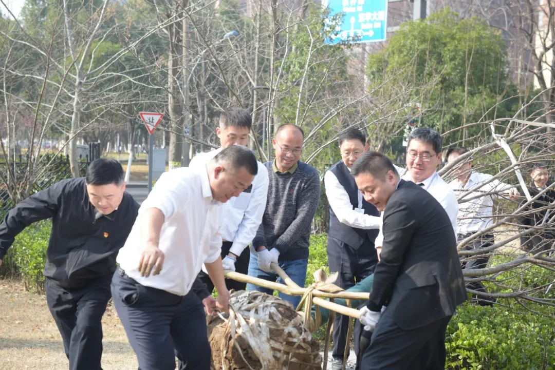 1744013573459303.jpg 04.jpg