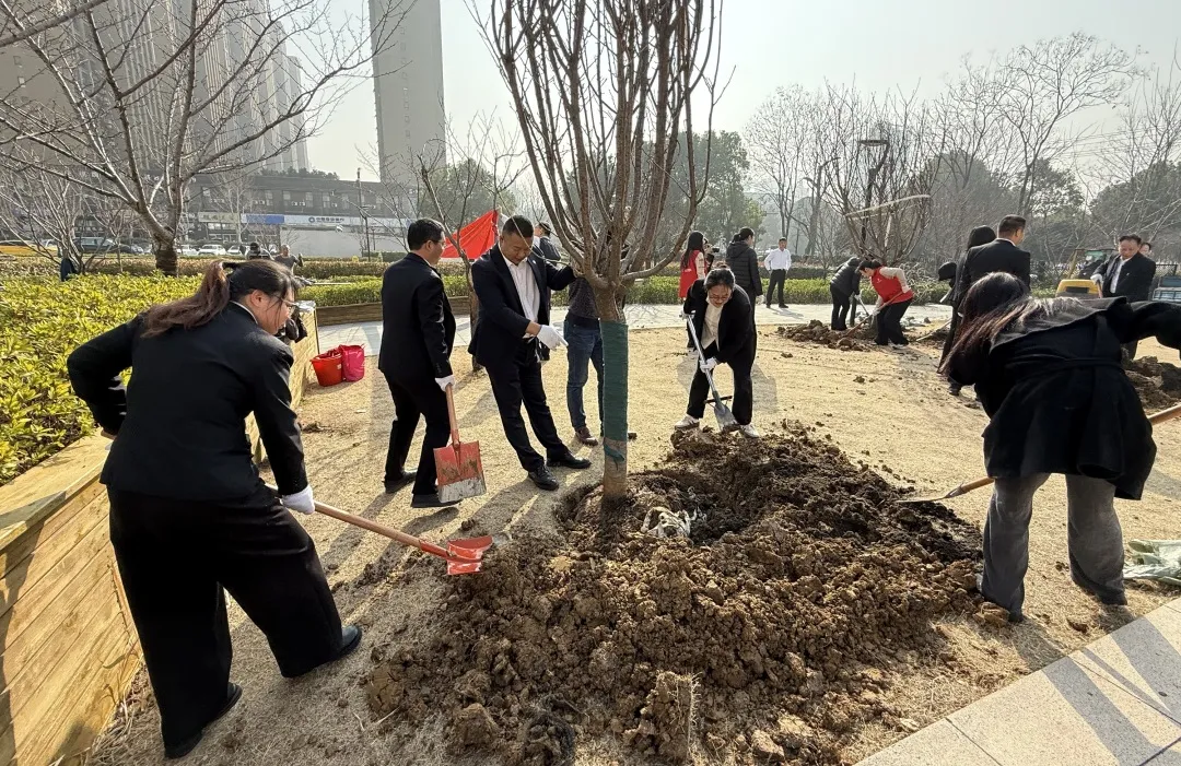 1744013583247120.jpg 06.jpg