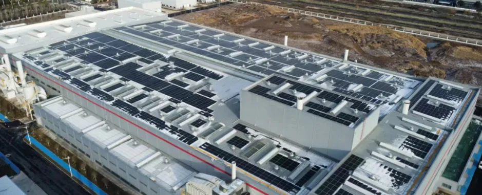 1744013826767487.jpg 3.jpg