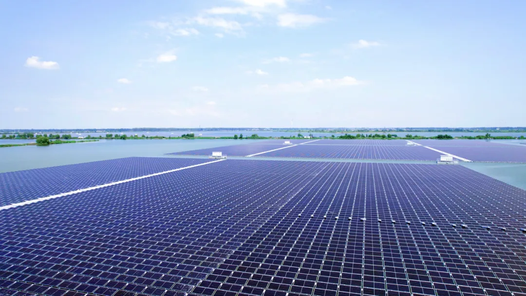 1759193803584926.jpg 2.jpg