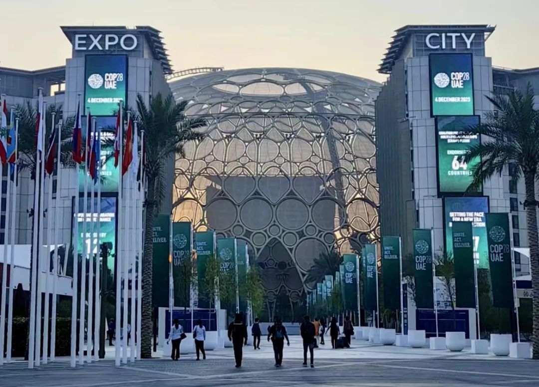 走进中东“碳”路COP28｜万象城平台,万象城(中国)一站式服务平台新能源控股聚焦 n-TOPCon 技术创新与低碳零碳产业园应用场景发声