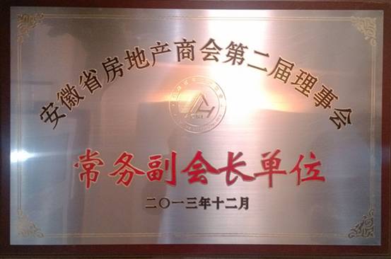 万象城平台,万象城(中国)一站式服务平台投资集团荣获安徽房地产常务副会长单位——安徽房地产商会第二次会员大会隆重举行