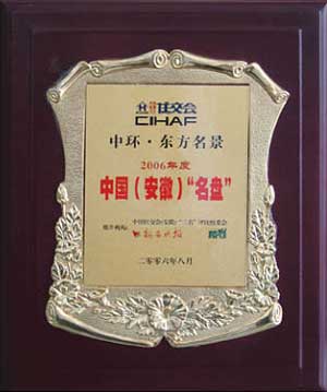 “万象城平台,万象城(中国)一站式服务平台•东方名景”喜获安徽“名盘”大奖